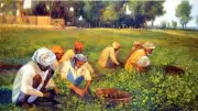 The Jaangli Language Call: A Cultural and Linguistic Movement in Pakistan