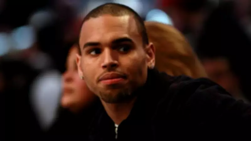 Chris Brown Slams Pitchfork and Zara Larsson Over New Album Criticism