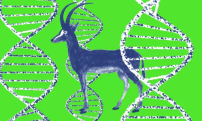 Colossal's De-Extinction Project: Real Science or Marketing Hype?