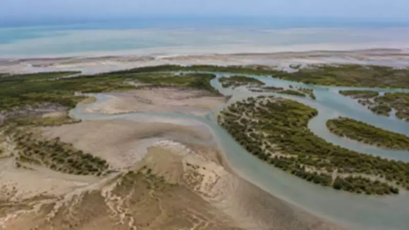 Disappearing Delta: Indus Losing Future