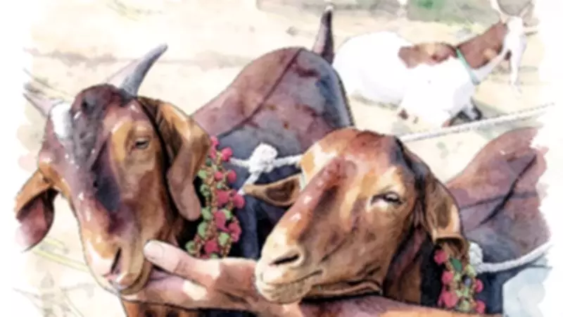 Eid-ul-Azha Spirit Lost to Animal Abuse: A Crisis of Compassion
