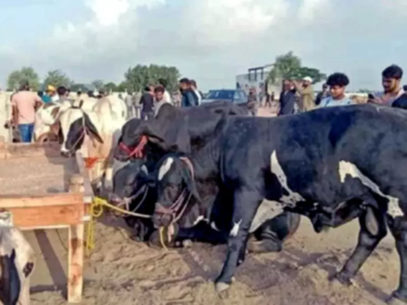 Eidul Azha: Beggars Turn Jamia Masjid Road into Meat Market