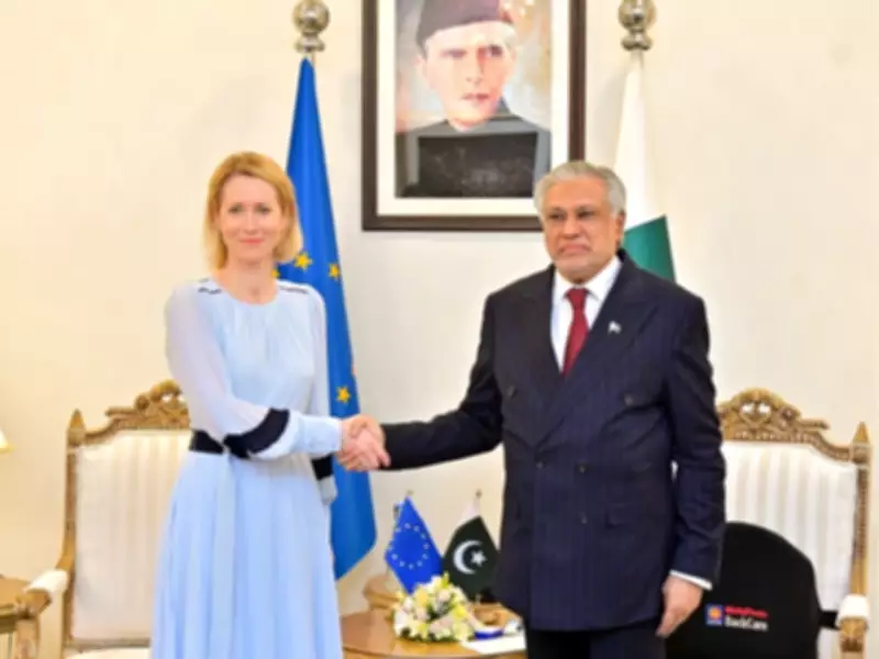 EU Urges Stronger Ties with Pakistan, Praises Mediation Role