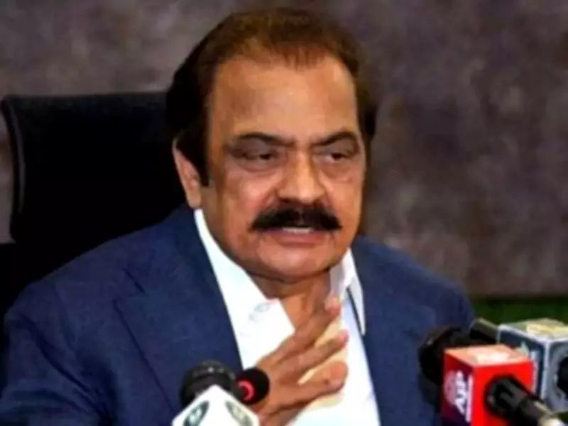 Govt preparing strategy for inflation relief in upcoming budget: Rana Sanaullah