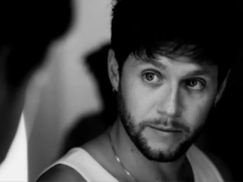 Niall Horan Denies One Direction Reunion Plans Amid Synchronized Releases