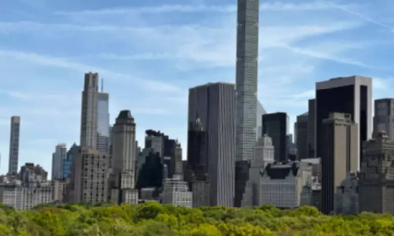 NYC's Hidden Species: Vox Plans to Discover New Insects in Parks