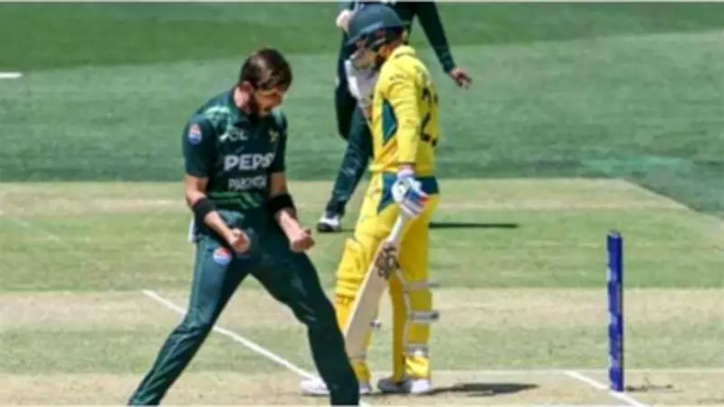 PCB Announces Ticket Details for Pakistan vs Australia ODI Series