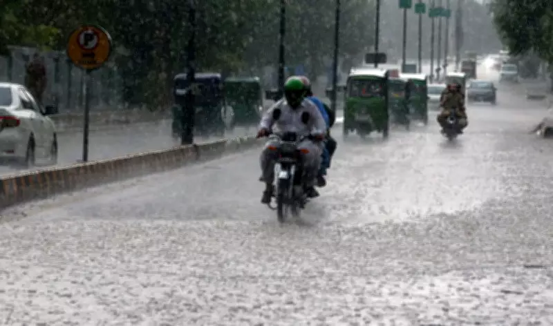 PDMA Punjab Issues Windstorm and Rain Alert Across Province