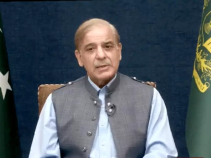 PM Shehbaz Calls for National Unity to Transform Pakistan into Economic Power