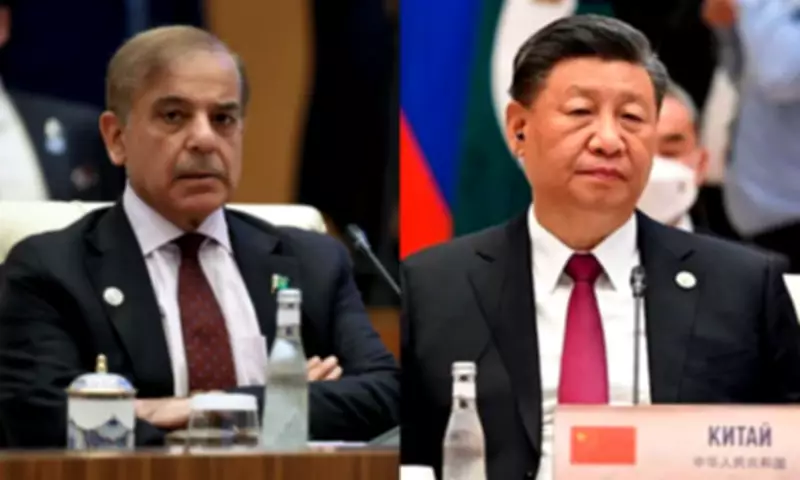 PM Shehbaz to visit China on four-day official visit from Saturday