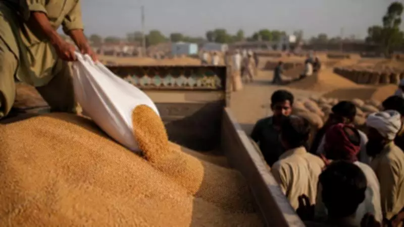 Political Economy: Wheat System Under Scrutiny