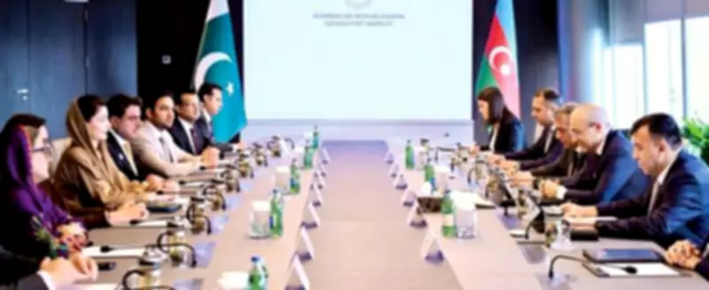 Punjab and Azerbaijan Form Joint Working Group to Boost Economic Ties