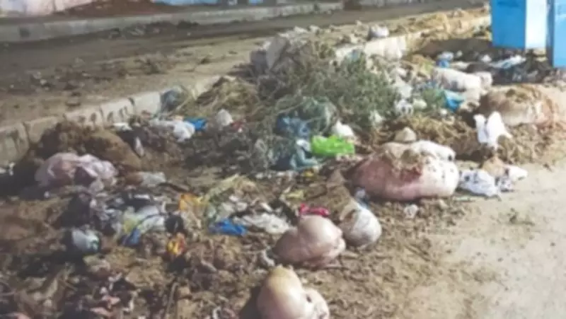 Punjab Imposes Rs50,000 Fine for Eid Waste Dumping