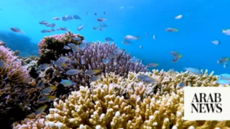 Rare Chance to Shape Future of Sustainable Fisheries in Red Sea