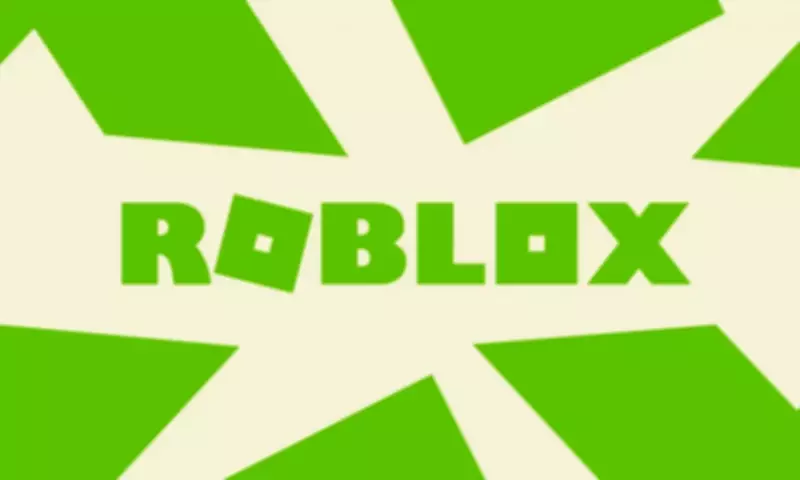 Roblox daily users drop to 132M as age checks slow growth
