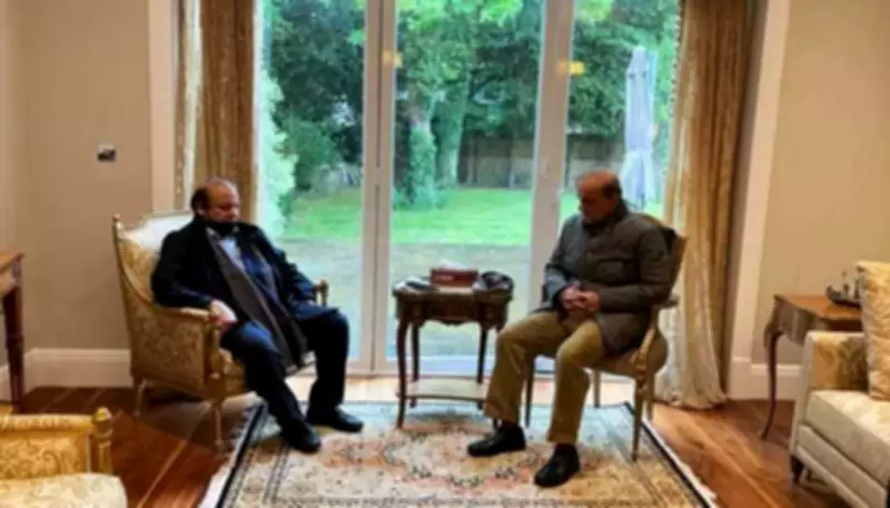 Shehbaz Sharif meets Nawaz Sharif at Jati Umra to discuss politics and economy