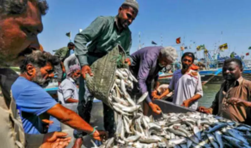 Sindh Allows 15-Day Relaxation in Annual Fishing Ban