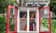 Can You Identify an AI-Generated Book? Tips to Spot One