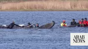 Humpback whale rescued in Germany found dead off Danish island