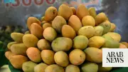 Jazan Mangoes Lead Saudi Arabia's Tropical Fruit Boom