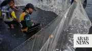 Pakistan's fish exports cross $500 million for first time, minister says