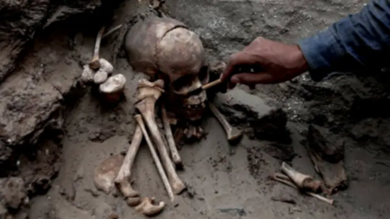 Ancient Plague Outbreak Found in Siberian Hunter-Gatherers
