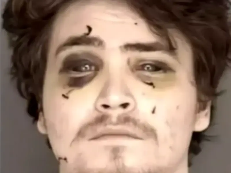 Canadian Man Gets Two Life Sentences for Online Gaming Obsession Attack