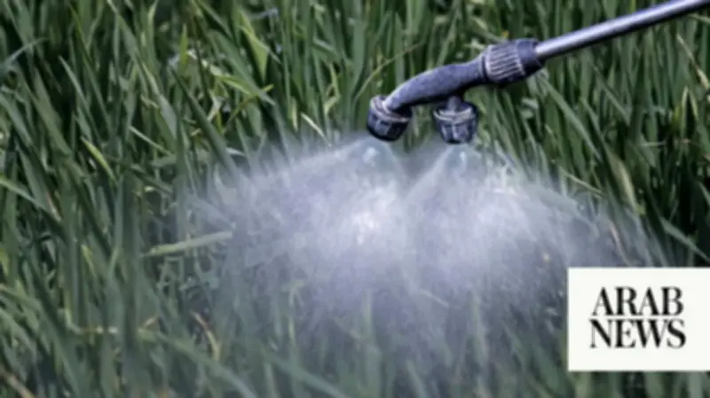 Egypt Overhauls Nitrogen Fertilizer Export Levy, Exempts High-Grade Ammonium Nitrate