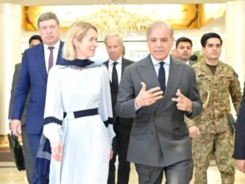 EU Diplomat Praises Pakistan's Mediation Between US and Iran