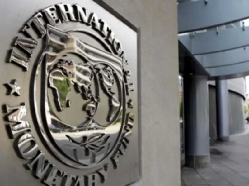 IMF Austerity Programs Harm Economies, Says Economist