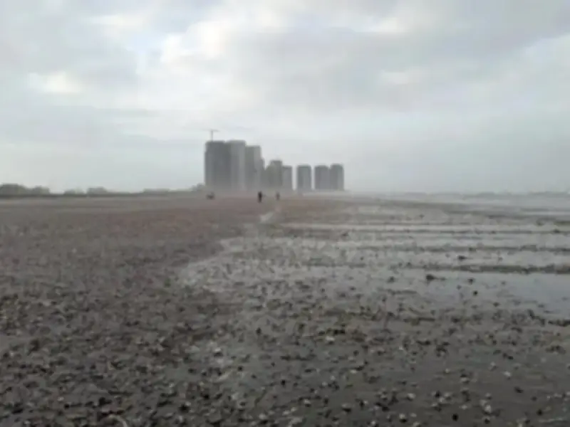 Karachi Beach Shell Event: Monsoon Upwelling Explained, Fishermen Confirm