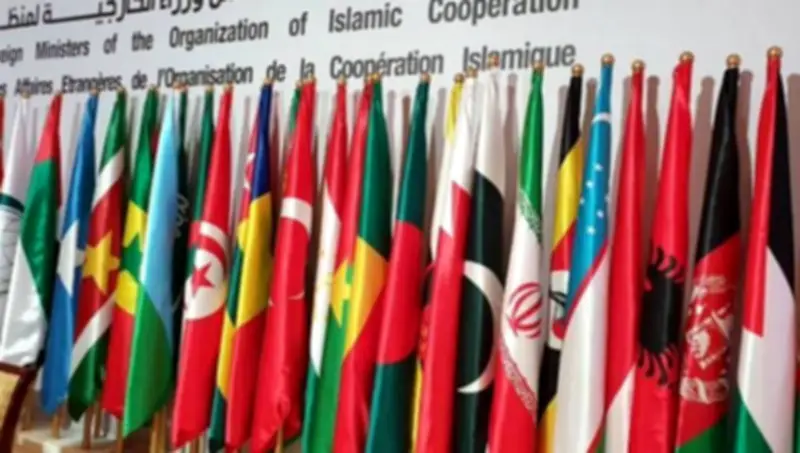 Muslim World's Crisis: Weak Institutions, Not Lack of Resources