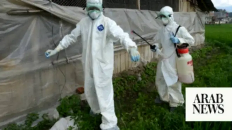 Nepal Bird Flu Surge: Over 596,000 Poultry Culled, Zoo Closed