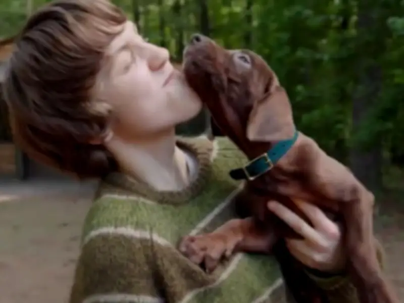 Netflix Unveils First Teaser for Live-Action Scooby-Doo: Origins Series