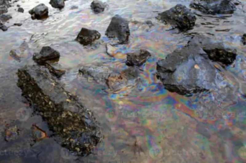 Oil Spill Hits Gwadar Coast, Threatens Marine Life and Fishing