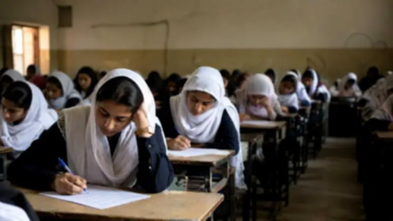 Pakistan Education Crisis: Survey Data Reveals Alarming Decline in Spending and Enrollment