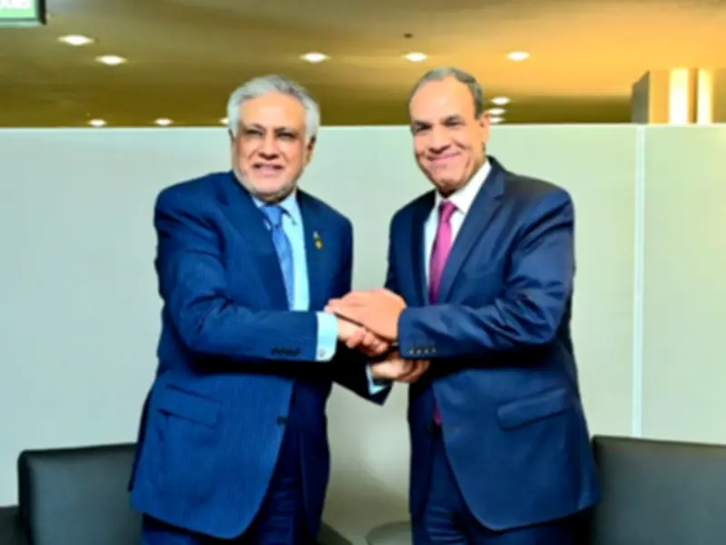 Pakistan, Egypt Discuss Regional Stability in High-Level Talks