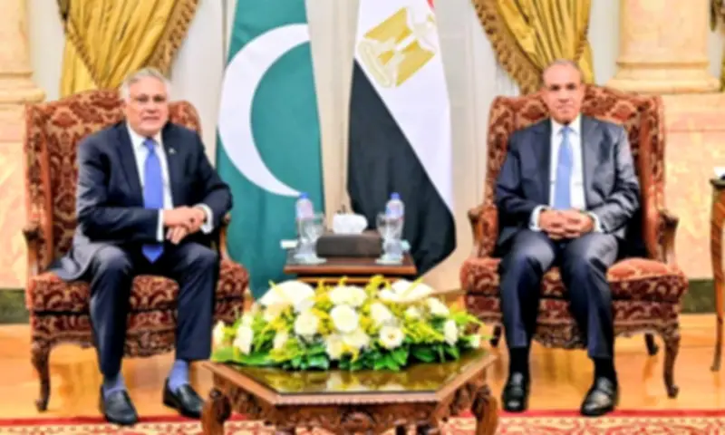 Pakistan, Egypt Vow to Strengthen Cooperation Across Key Sectors