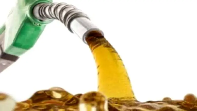 Pakistan Revises Petroleum Levy: Petrol Down, Diesel Up