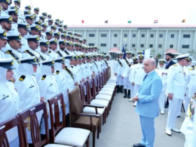PM Shehbaz Accuses India of Covert Tactics, Proxies to Destabilize Pakistan