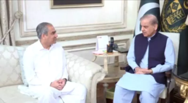 PM Shehbaz, Naqvi Discuss Security Situation, GB Polls