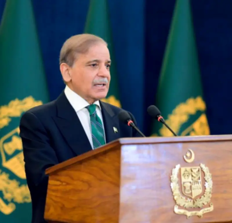 PM Shehbaz Sharif stresses industrial growth, foreign investment for economic stability