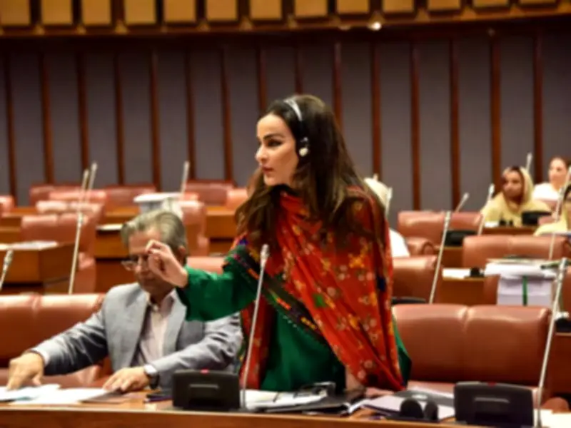 PPP Blocks IT, PTA, RWA Legislation in Senate Unless Scrutinized