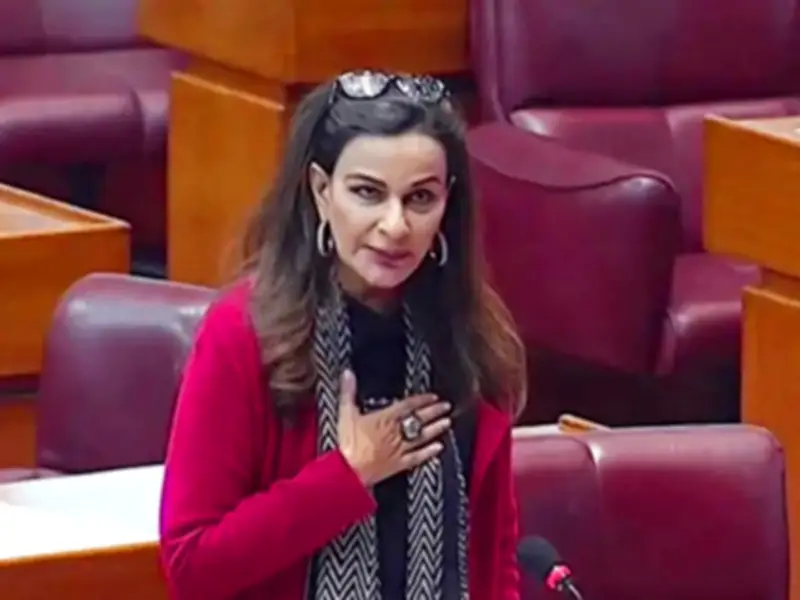 PPP Vows to Block IT Legislation Without Senate Scrutiny