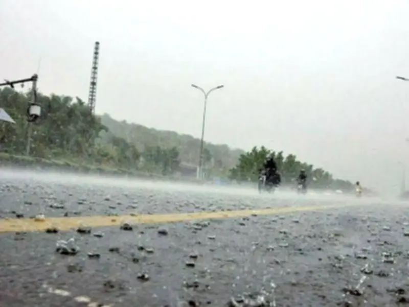 Pre-Monsoon Rains Lash Punjab, KP; Tree Fall Injures Vendor in Abbottabad