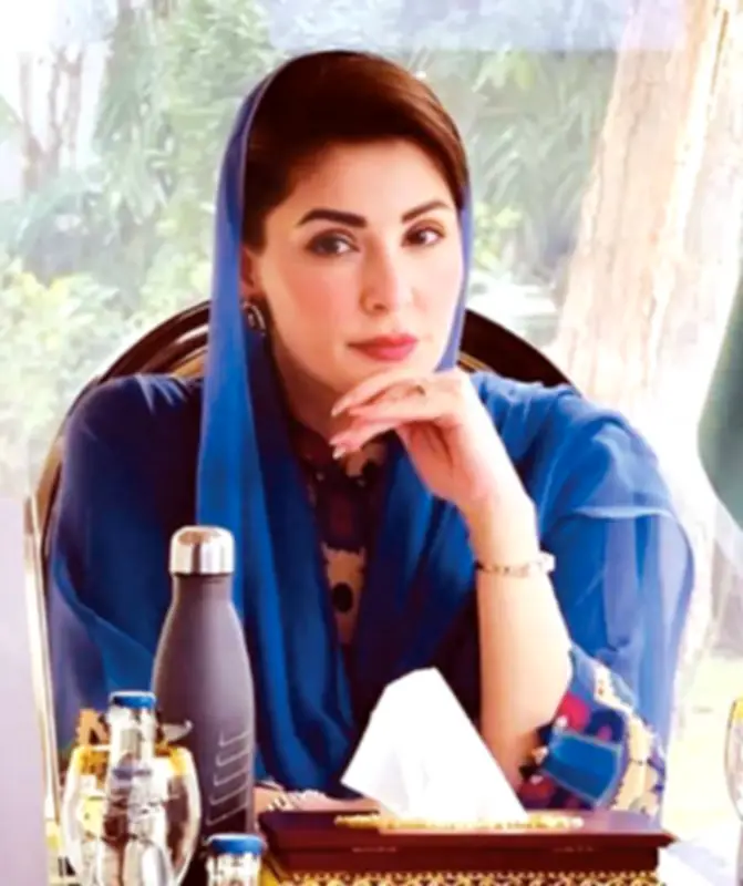 Punjab CM Maryam Nawaz Highlights Wind Power Potential on Global Wind Day