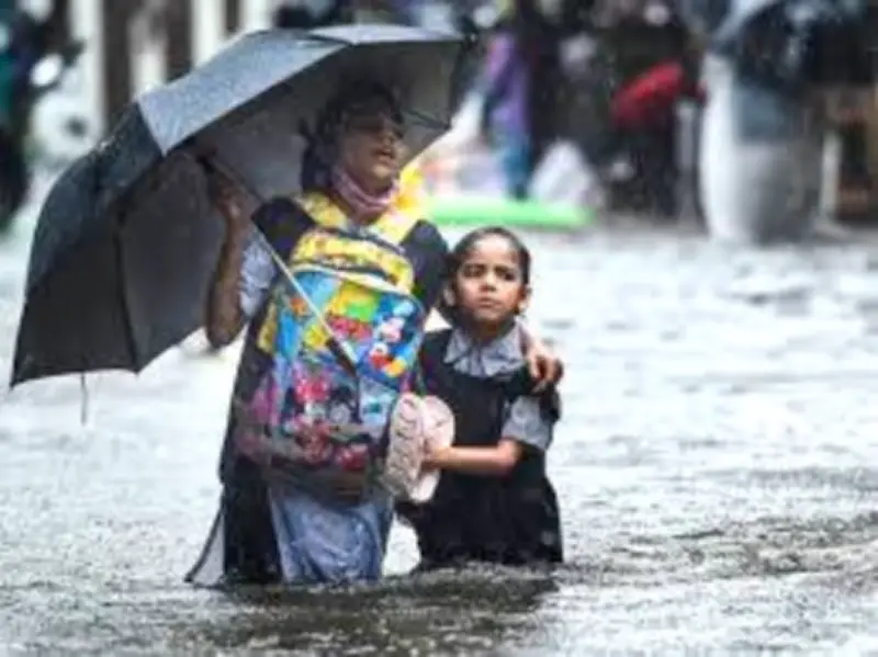Punjab Education Dept Orders Pre-Monsoon Safety Measures in Schools