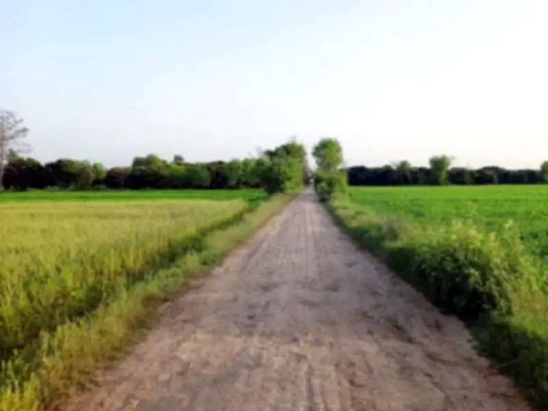 Punjab govt seeks vacant state property details from 12 institutions to boost revenue