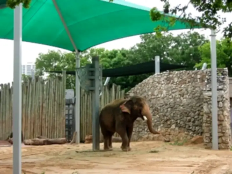 Punjab Wildlife Issues Heatwave Guidelines to Protect Animals