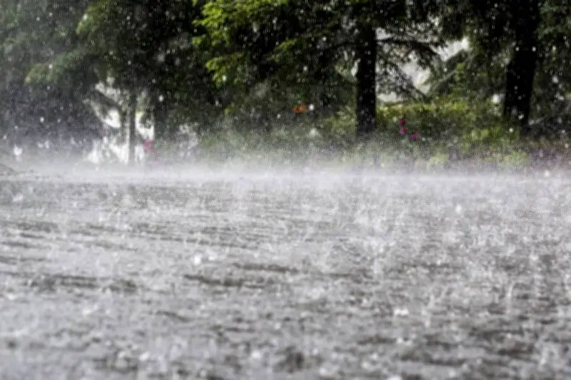 Rain and Strong Winds Turn Lahore Weather Pleasant, Power Disrupted